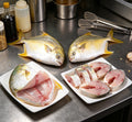 Golden Pomfret: Fresh, Flavorful, and Versatile Delight